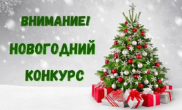 мбук "Краснинская ЦКС", отдел по народному творчеству, проводит конкурс новогодних поделок "Новый Год в гостях у сказки" - фото - 3